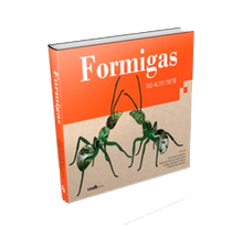 Formigas